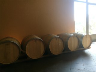 在東莞開(kāi)一家紅酒店要多少錢