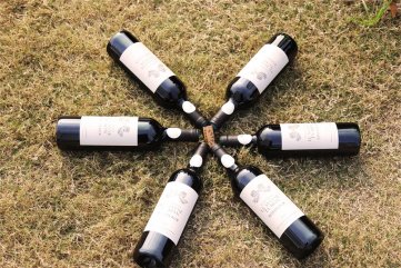 做法國進(jìn)口紅酒批發(fā)生意有沒有錢賺