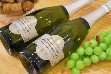 中國(guó)紅酒品牌排行好不好